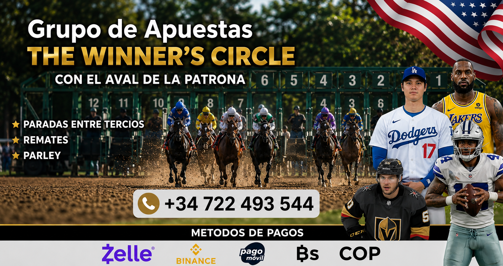 GRUPO THE WNNE´S CIRCLE GORRILA